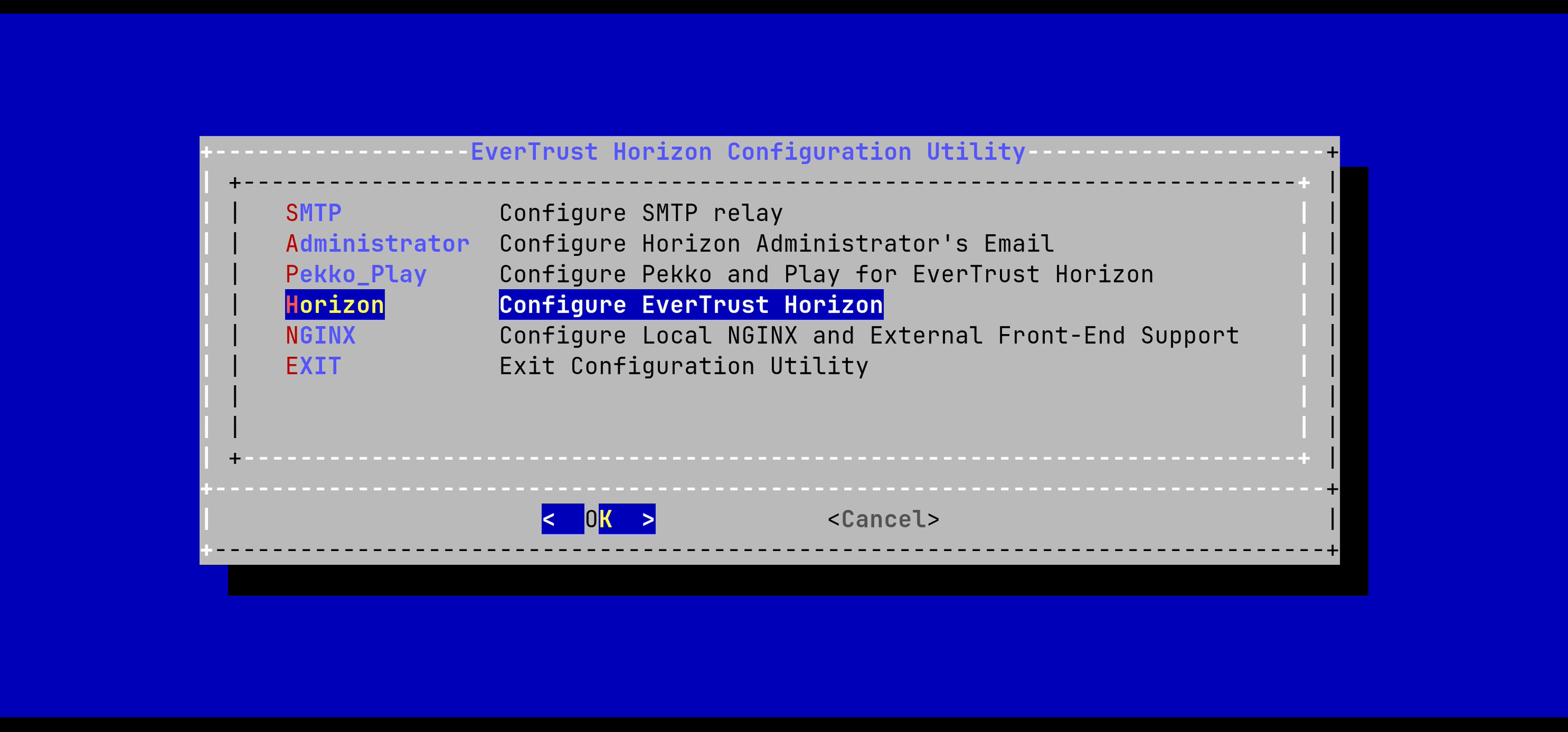 Horizon Config Menu Hostname