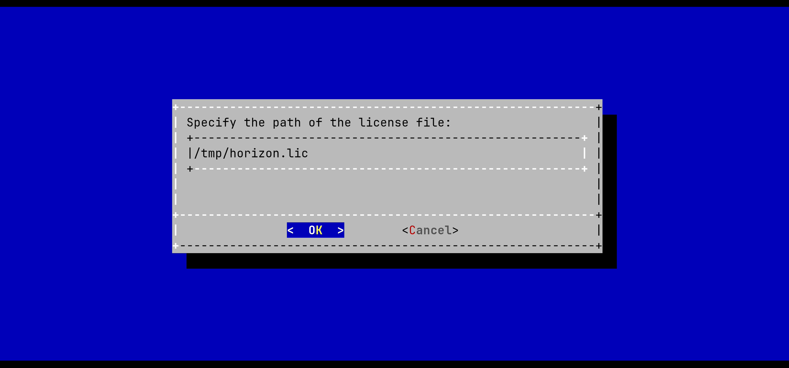 Horizon License Configuration 2