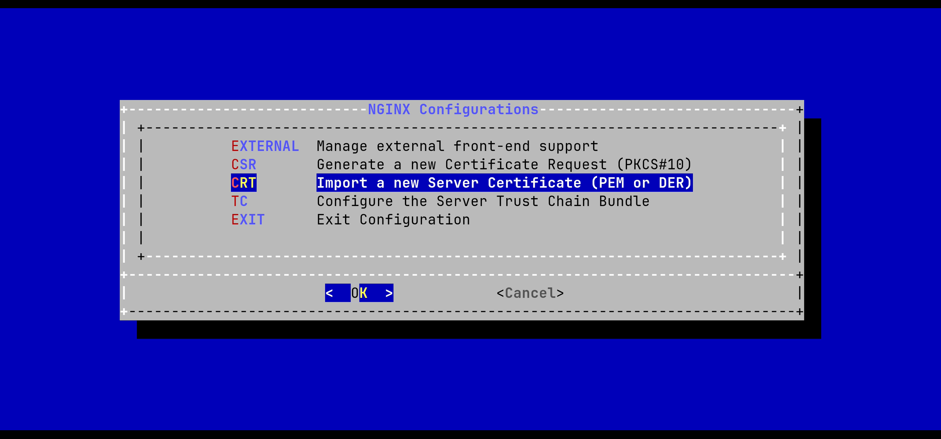 NGINX Config Menu