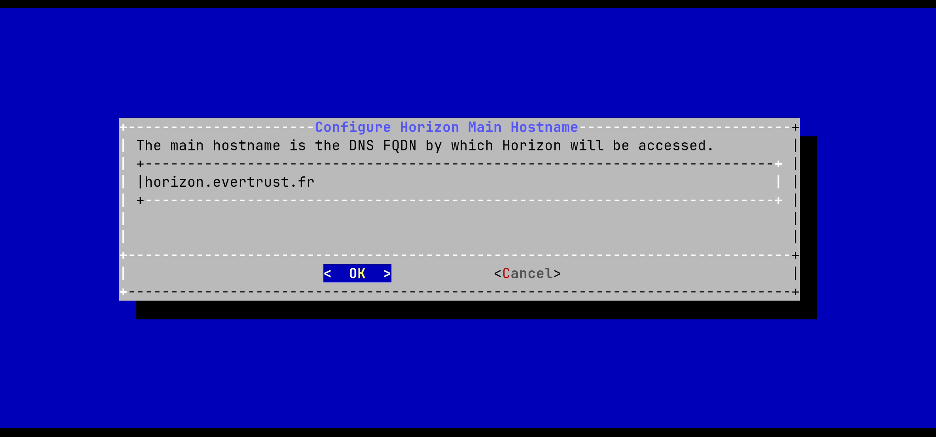Horizon Hostname Configuration 2