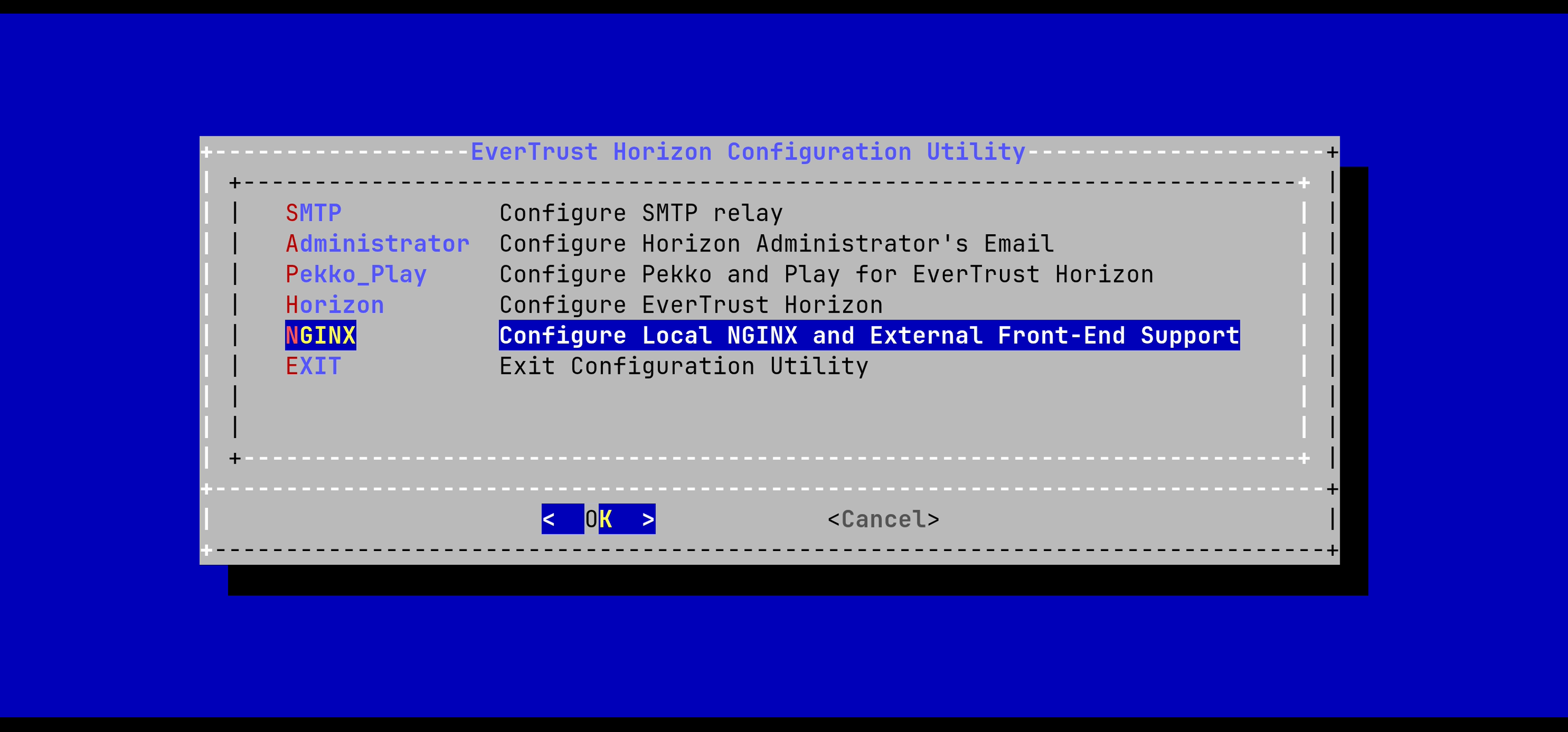 NGINX Config Menu