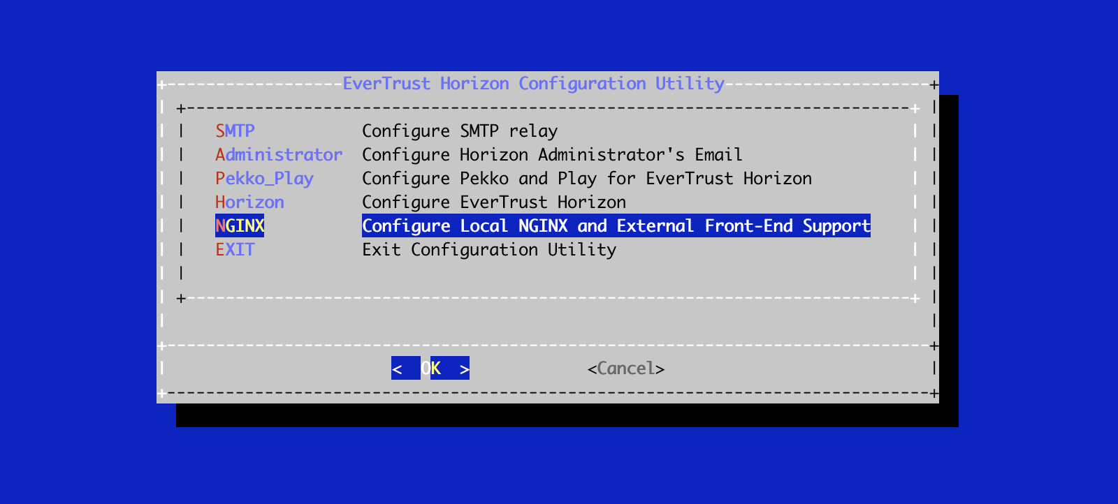NGINX Config Menu