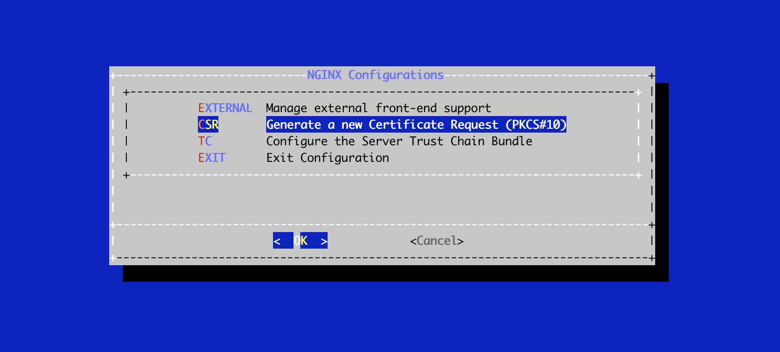 NGINX CSR Menu