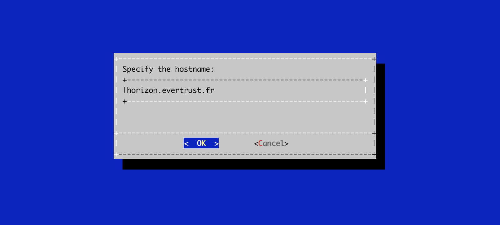 Specify Hostname