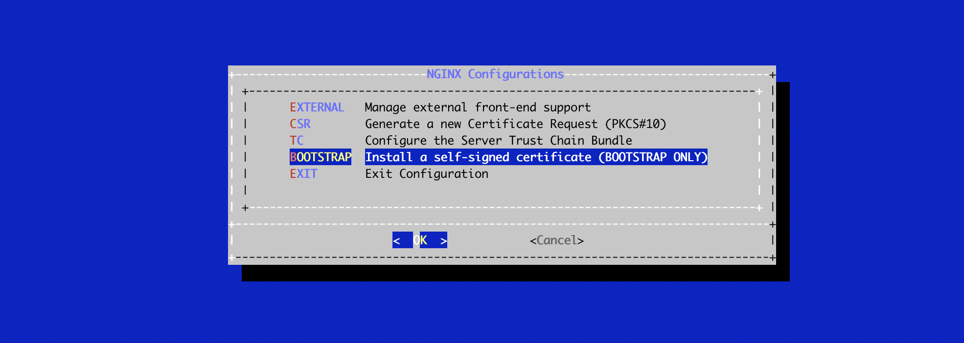 NGINX Config Menu