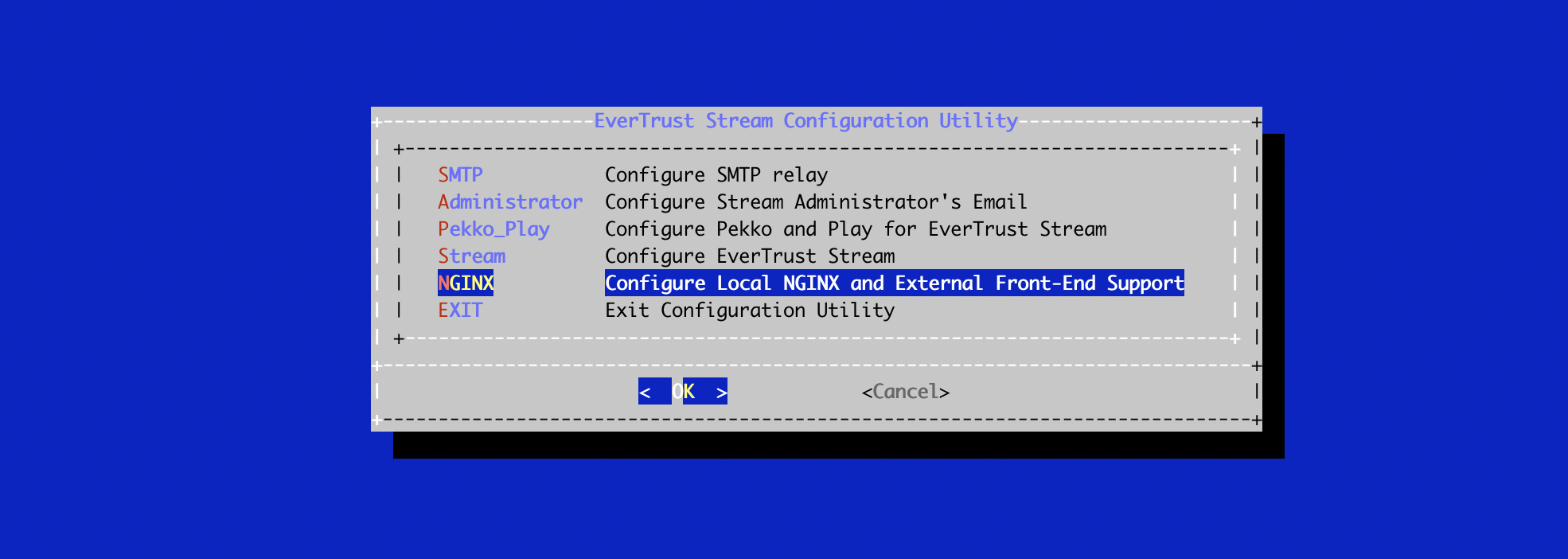 NGINX Config Menu