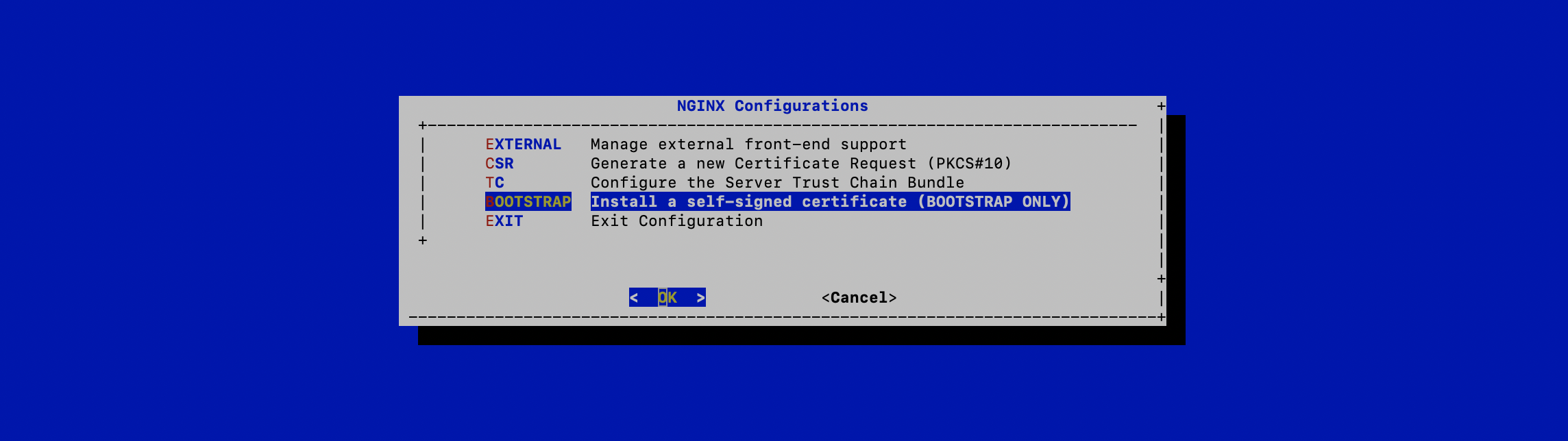NGINX Config Menu