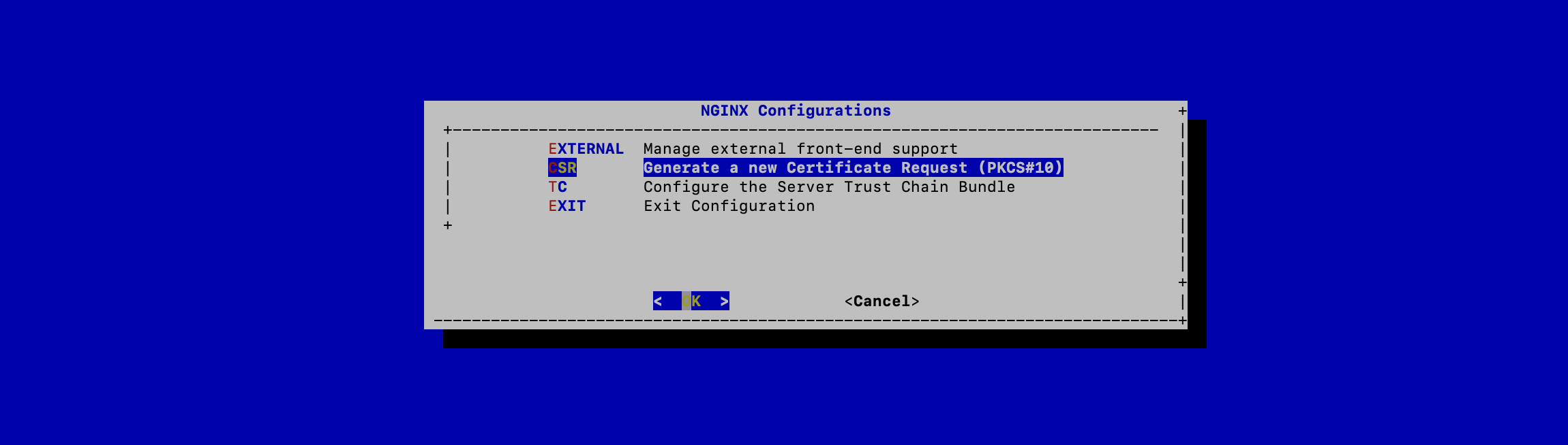 NGINX CSR Menu